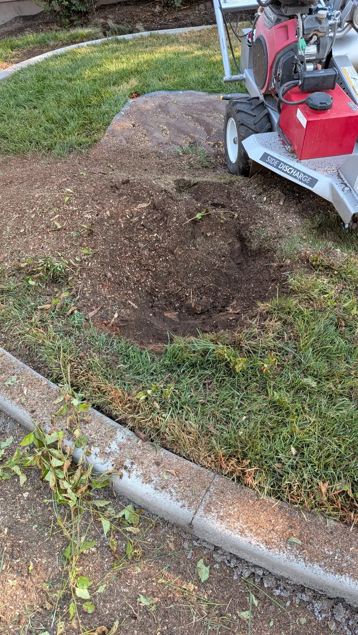 Large stump area after deeper grinding