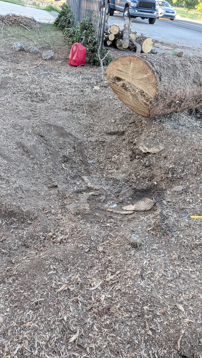 Grinding a large tree stump and root flare